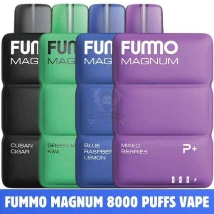 FUMMO MAGNUM 8000 Puffs Price in Dubai