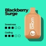 WAKA SMASH 6000 Puffs Price in Dubai BLACKBERRY SURGE