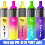 TUGBOAT Evo 4500 Puffs Price in Dubai