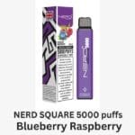 NERD Square 5000 Puffs 2% Nicotine Disposable Vape