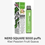 NERD Square 5000 Puffs 2% Nicotine Disposable Vape