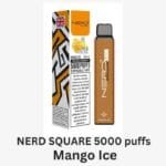 NERD Square 5000 Puffs 2% Nicotine Disposable Vape