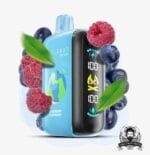 ELFBAR Raya D3 25000 Puffs Disposable Vape Price in Dubai Blueberry Raspberry