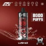 KK ENERGY Bar 8000 Puffs Disposable Vape Price in Dubai lush Ice