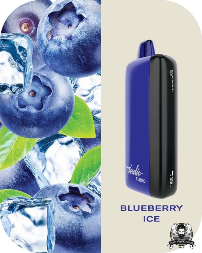 FUMMO Indic 12000 Puffs 20MG Disposable Vape Price in Dubai Blueberry Ice