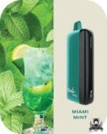 FUMMO Indic 12000 Puffs 20MG Disposable Vape Price in Dubai Miami Mint
