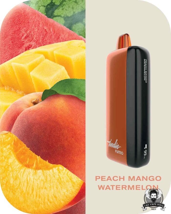 FUMMO Indic 12000 Puffs 20MG Disposable Vape Price in Dubai Peach Mango Watermelon