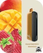 FUMMO Indic 12000 Puffs 20MG Disposable Vape Price in Dubai Raspberry Mango