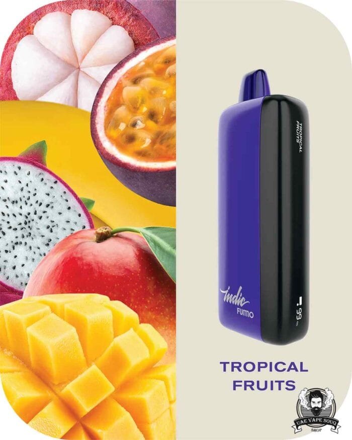 FUMMO Indic 12000 Puffs 20MG Disposable Vape Price in Dubai Tropical Fruits