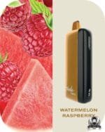 FUMMO Indic 12000 Puffs 20MG Disposable Vape Price in Dubai Watermelon Raspberry