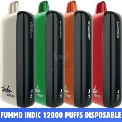 FUMMO Indic 12000 Puffs 20MG Disposable Vape in Dubai