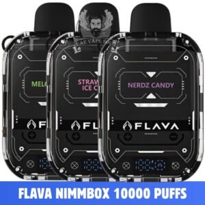 Flava Nimmbox 10000 Puffs